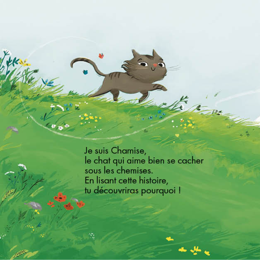 Chamise, Natacha Nisic et Paulina Bajer – Image 3